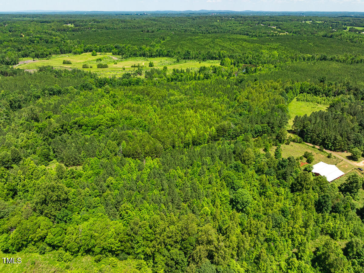Lot-8-00 Wilson Road Providence, NC 27315 - Photo 28 of 45 Caswell Co. NC 16.55-Backwoods-Lot 8-28