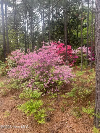 $259,000 | 148 Dixie Trail, Hamlet, NC 28345