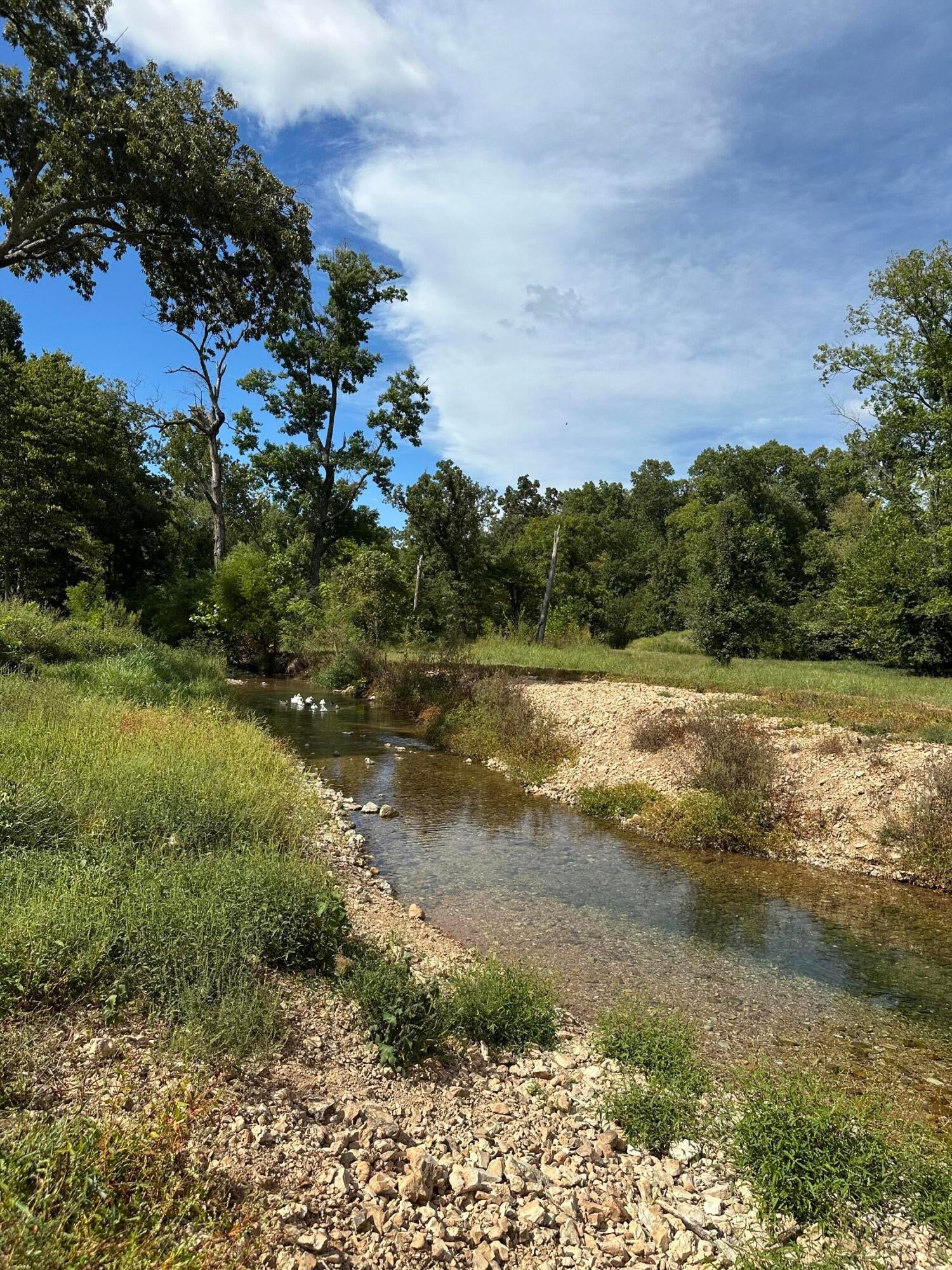 33601 South 680 Road Jay, OK 74346 - Photo 67 of 78 creek next to house