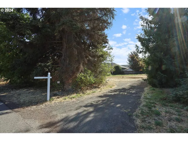 a view of a backyard of the house