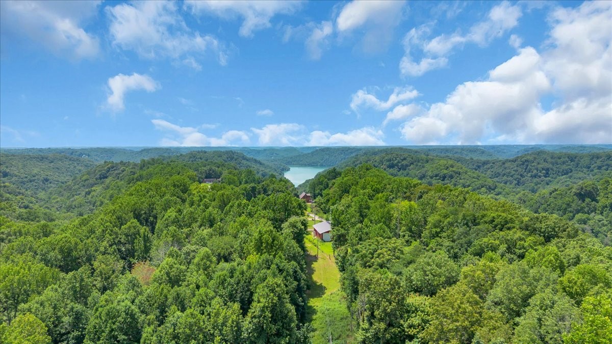 455 Lafever Ridge Road Silver Point, TN 38582 - Photo 8 of 52