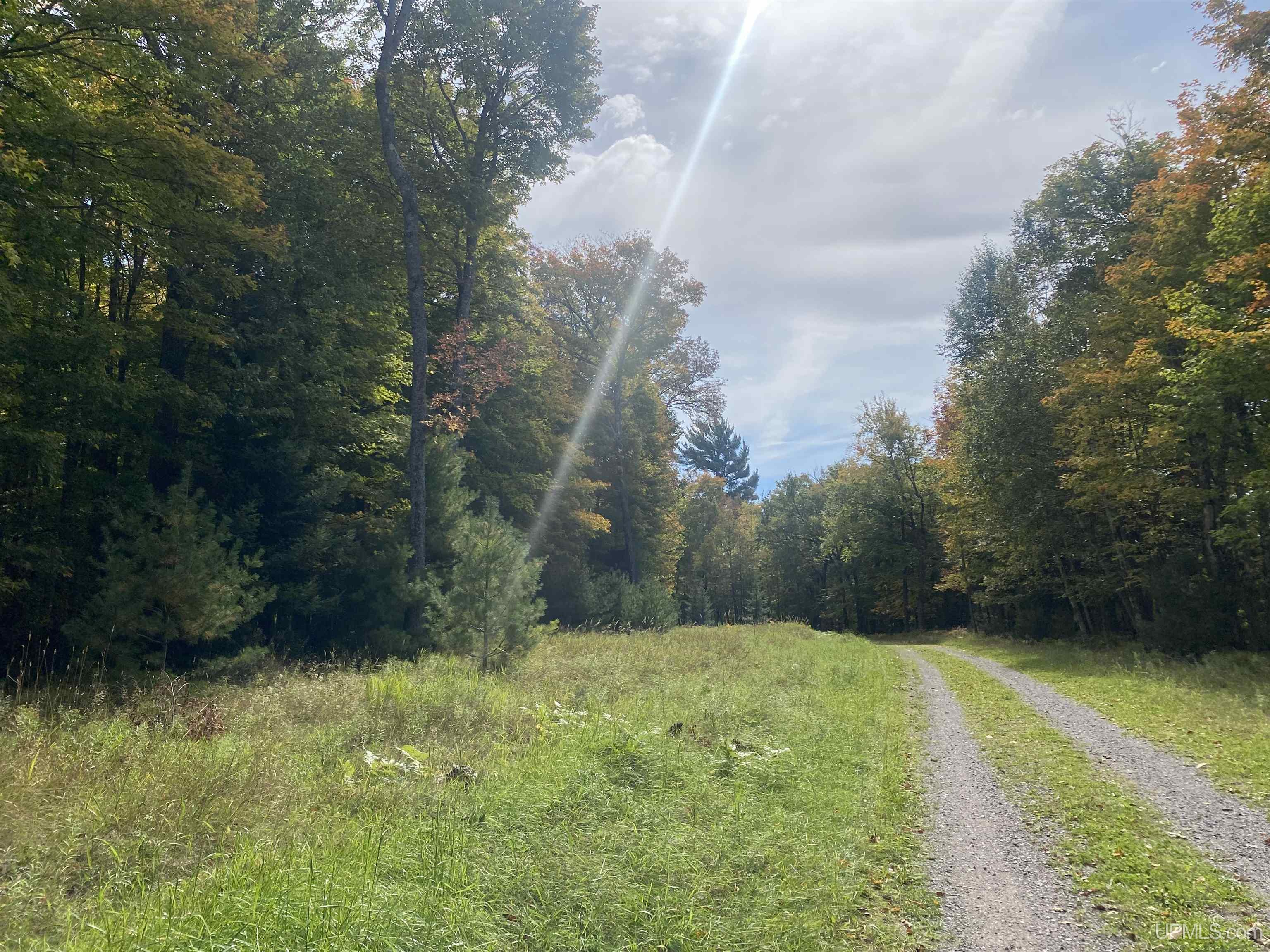 Tbd Tbd Grace Lake Road Watersmeet, MI 49969 - Photo 5 of 16