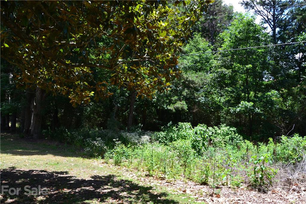 0 Capernium Road Cherryville, NC 28021 - Photo 11 of 15 Gallery Image 11