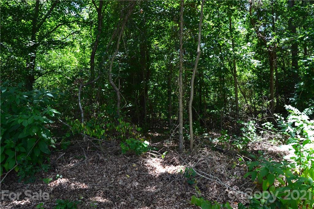 0 Capernium Road Cherryville, NC 28021 - Photo 12 of 15 Gallery Image 12