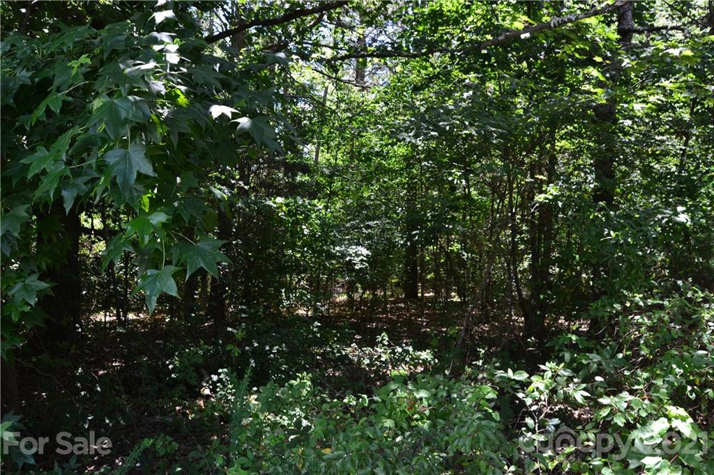 0 Capernium Road Cherryville, NC 28021 - Photo 13 of 15 Gallery Image 13