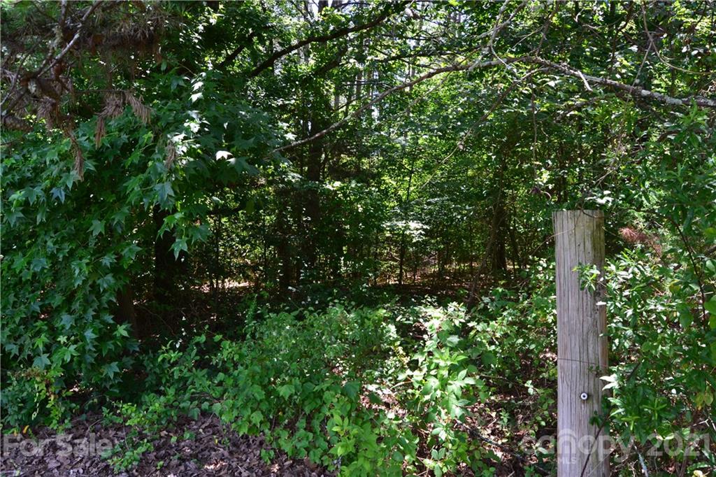0 Capernium Road Cherryville, NC 28021 - Photo 14 of 15 Gallery Image 14