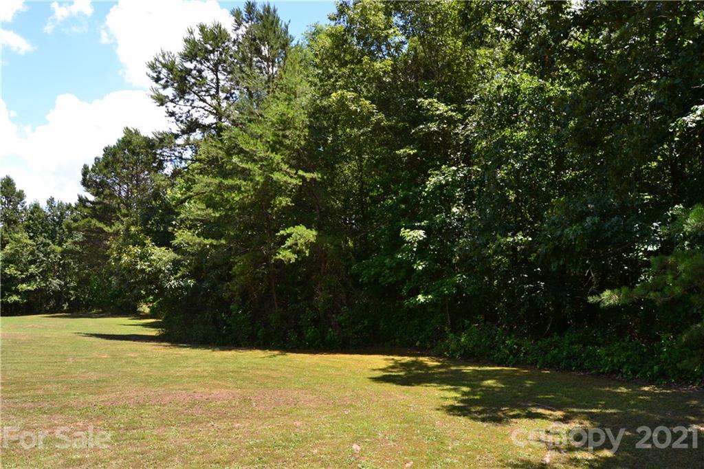 0 Capernium Road Cherryville, NC 28021 - Photo 15 of 15 Gallery Image 15