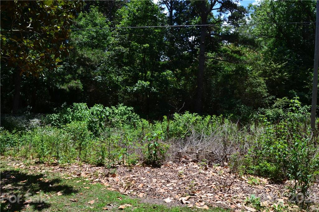 0 Capernium Road Cherryville, NC 28021 - Photo 10 of 15 Gallery Image 10