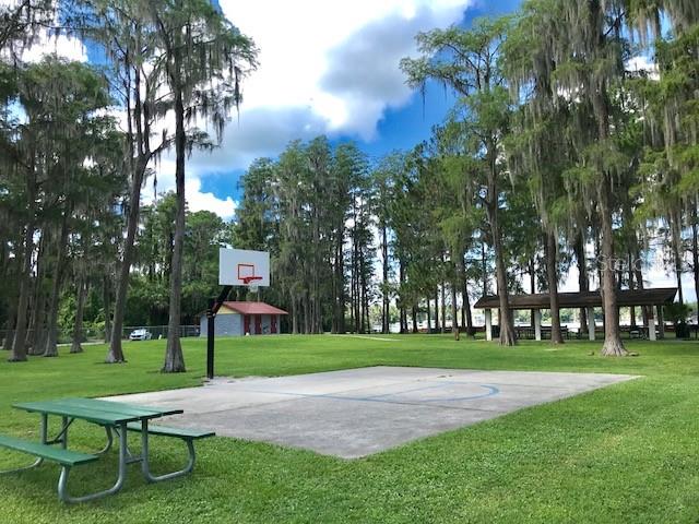 0 Purdue Street New Port Richey, FL 34654 - Photo 5 of 37 a view of a park with bench and trees