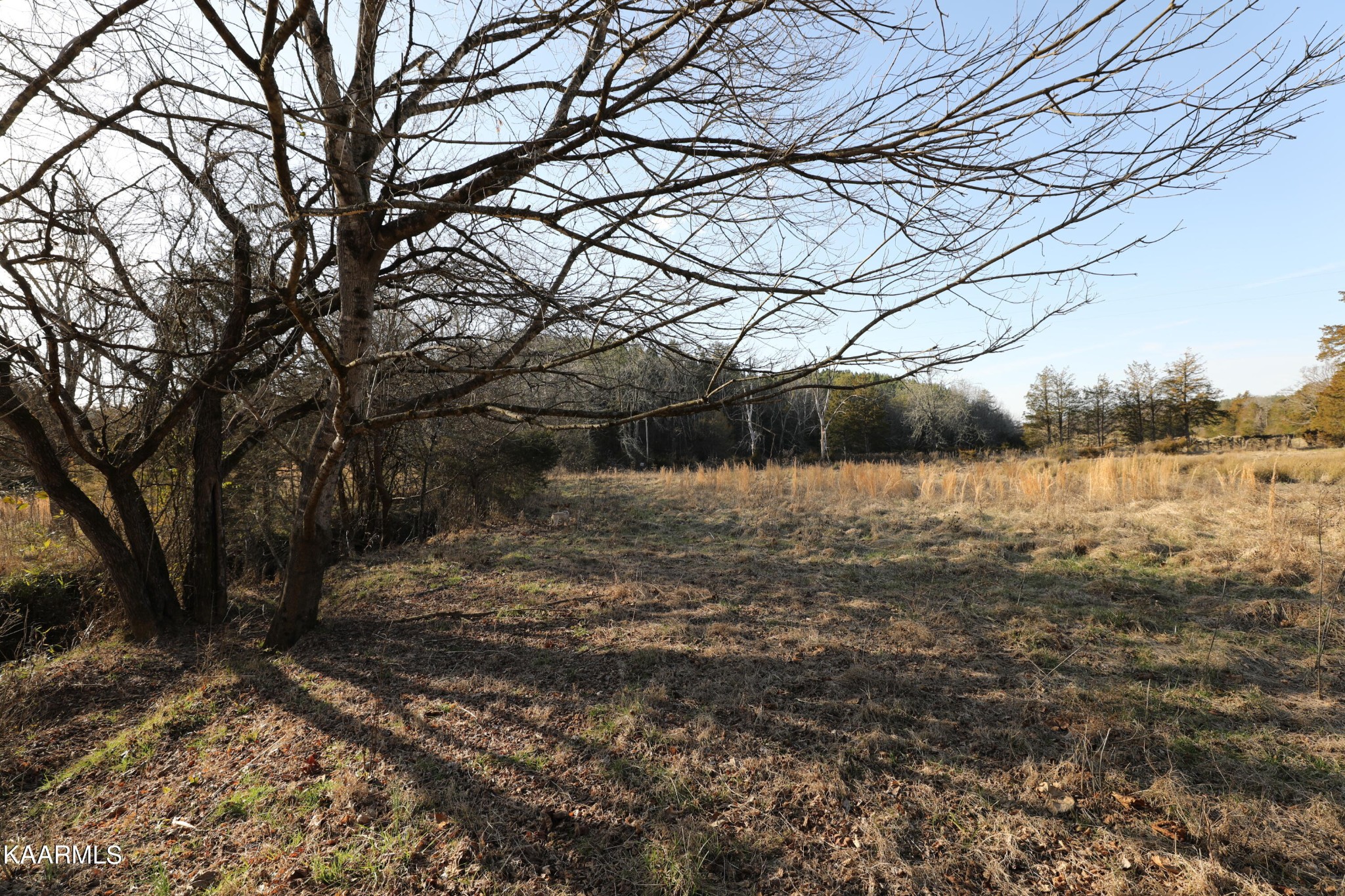 0 Sleepy Valley Road Madisonville, TN 37354 - Photo 1 of 24 Gallery Image 1