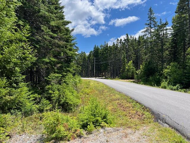 31 Yoho Head Road Machiasport, ME 04655 - Photo 3 of 21 IMG_8563