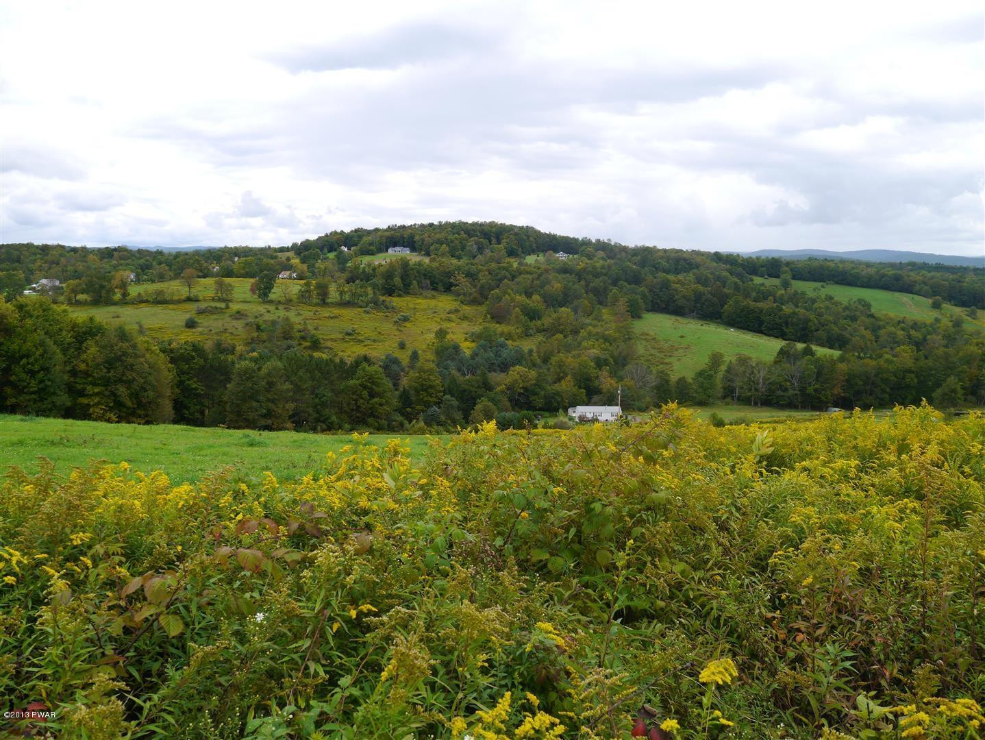 240 Marks Road Damascus, PA 18415 - Photo 10 of 10 Gallery Image 10