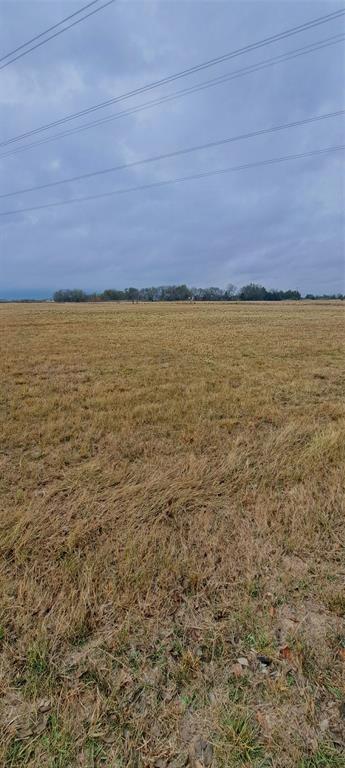 9-10 County Road Lone Oak, TX 75453 - Photo 5 of 12