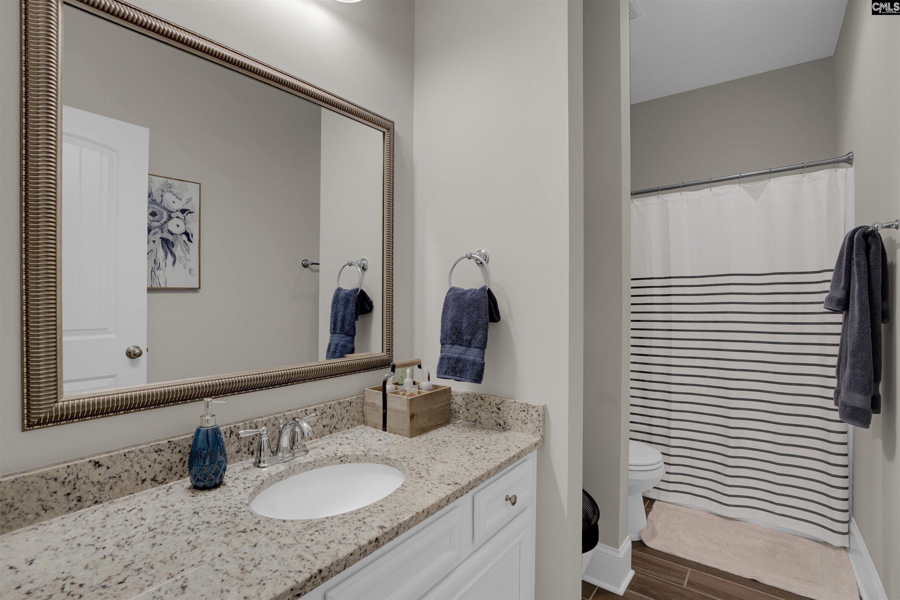 238 Hilton View Court Chapin, SC 29036 - Photo 29 of 63