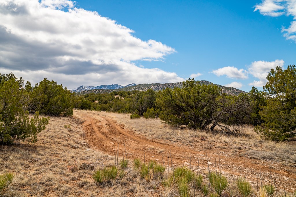 Tbd Hanuman Road Cerrillos, NM 87010 - Photo 5 of 33