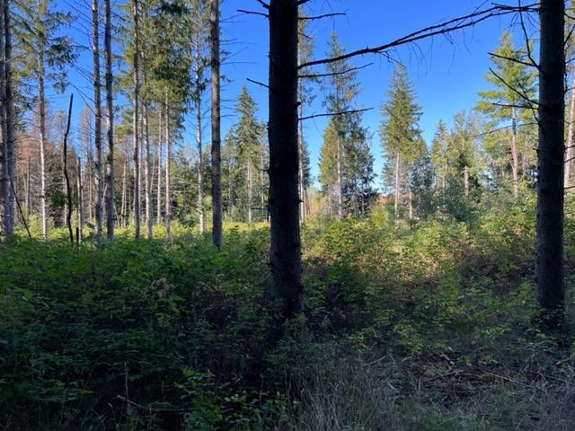 00 North 39th Road Lake City, MI 49651 - Photo 10 of 14