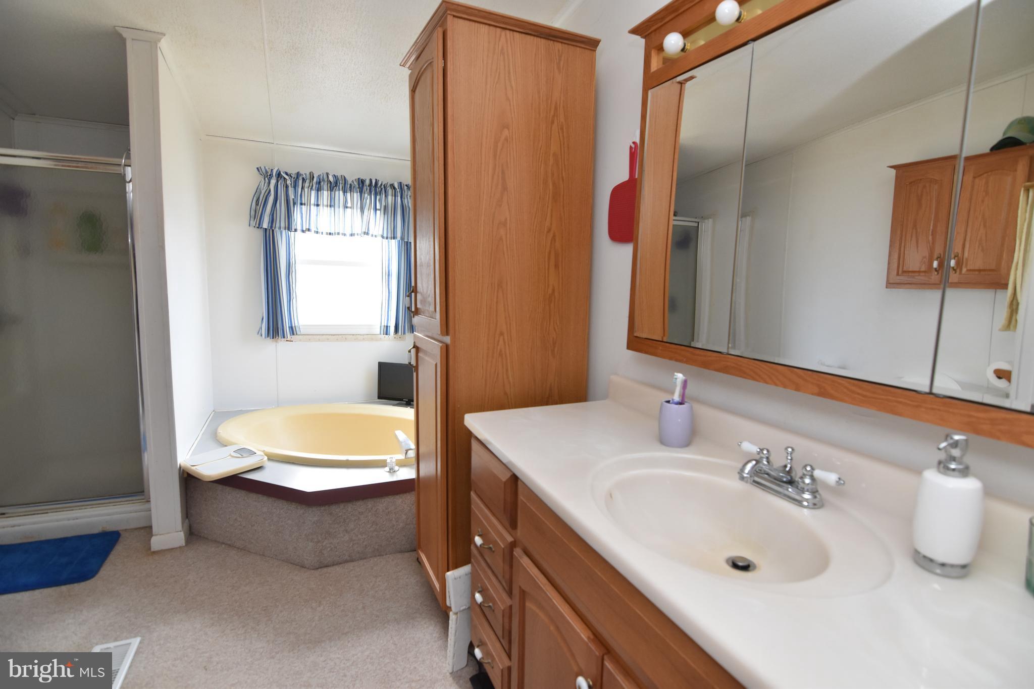 19593 Three Notch Road Lexington Park, MD 20653 - Photo 17 of 29 Bath (Master)
