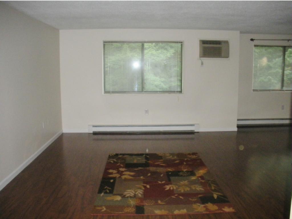 113 Indian Rock Road, Unit 113 Merrimack, NH 03054 - Photo 8 of 24