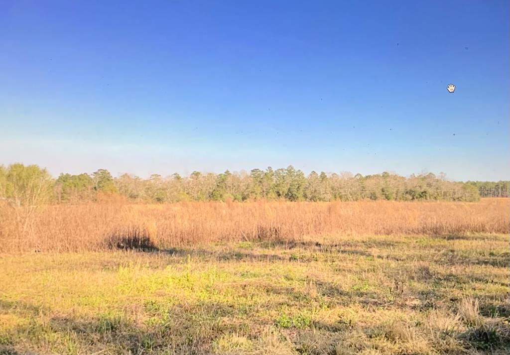 587 Oak Hill Road Cairo, GA 39828 - Photo 1 of 1 Main View