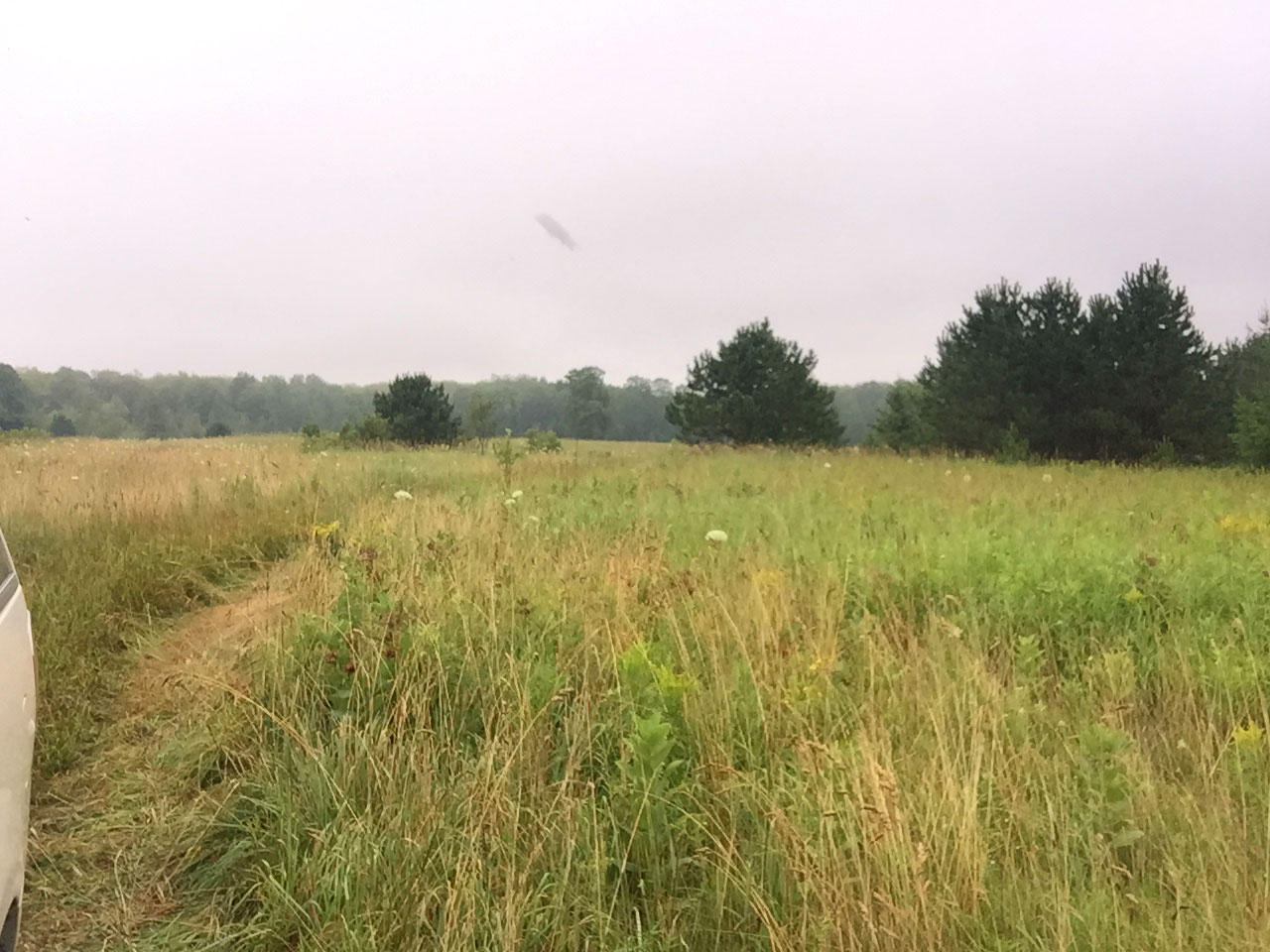 0 28 28 Mile Road Moran, MI 49760 - Photo 18 of 19 Gallery Image 18