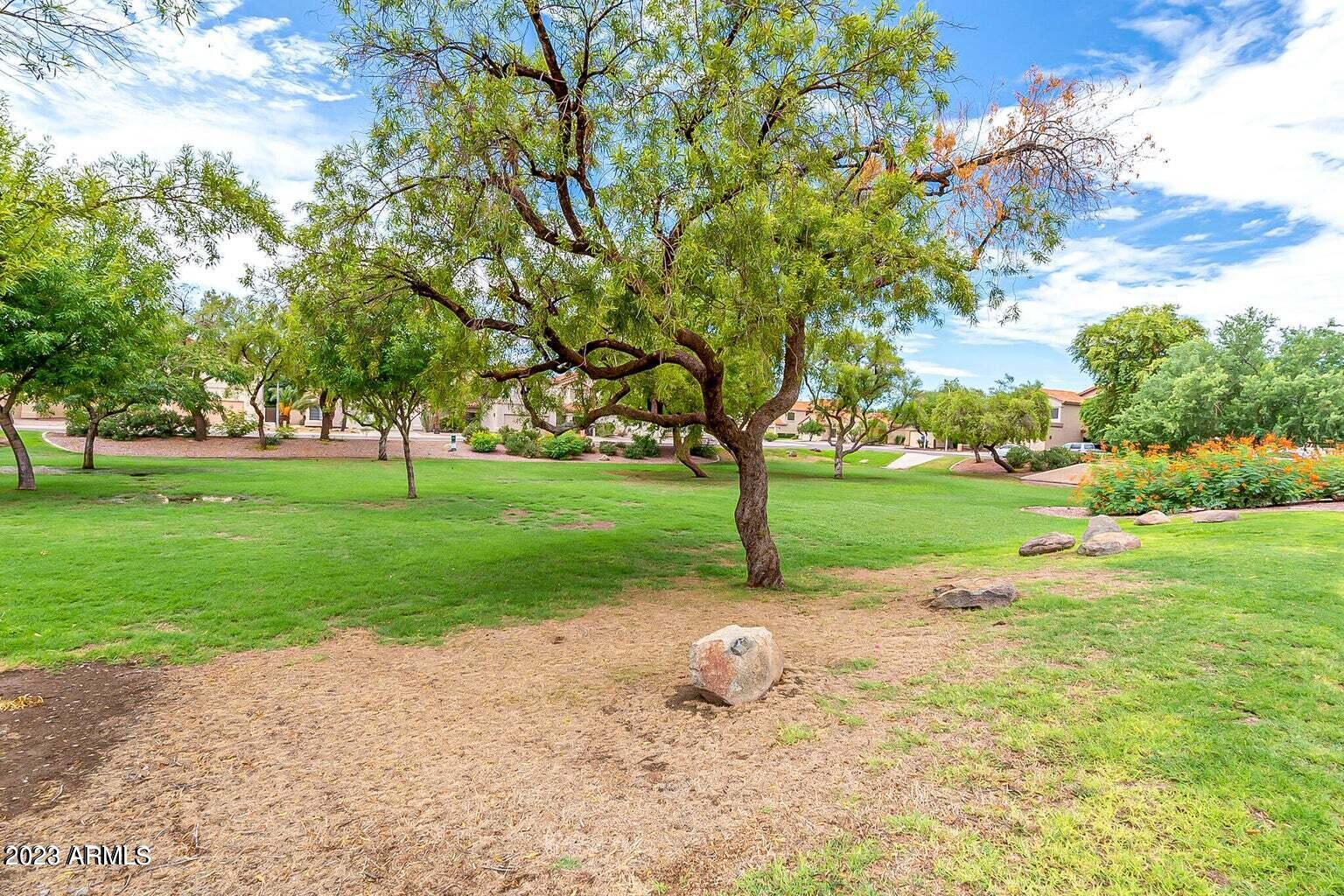4062 East Agave Road Phoenix, AZ 85044 - Photo 23 of 35 Community Green Belt view 1