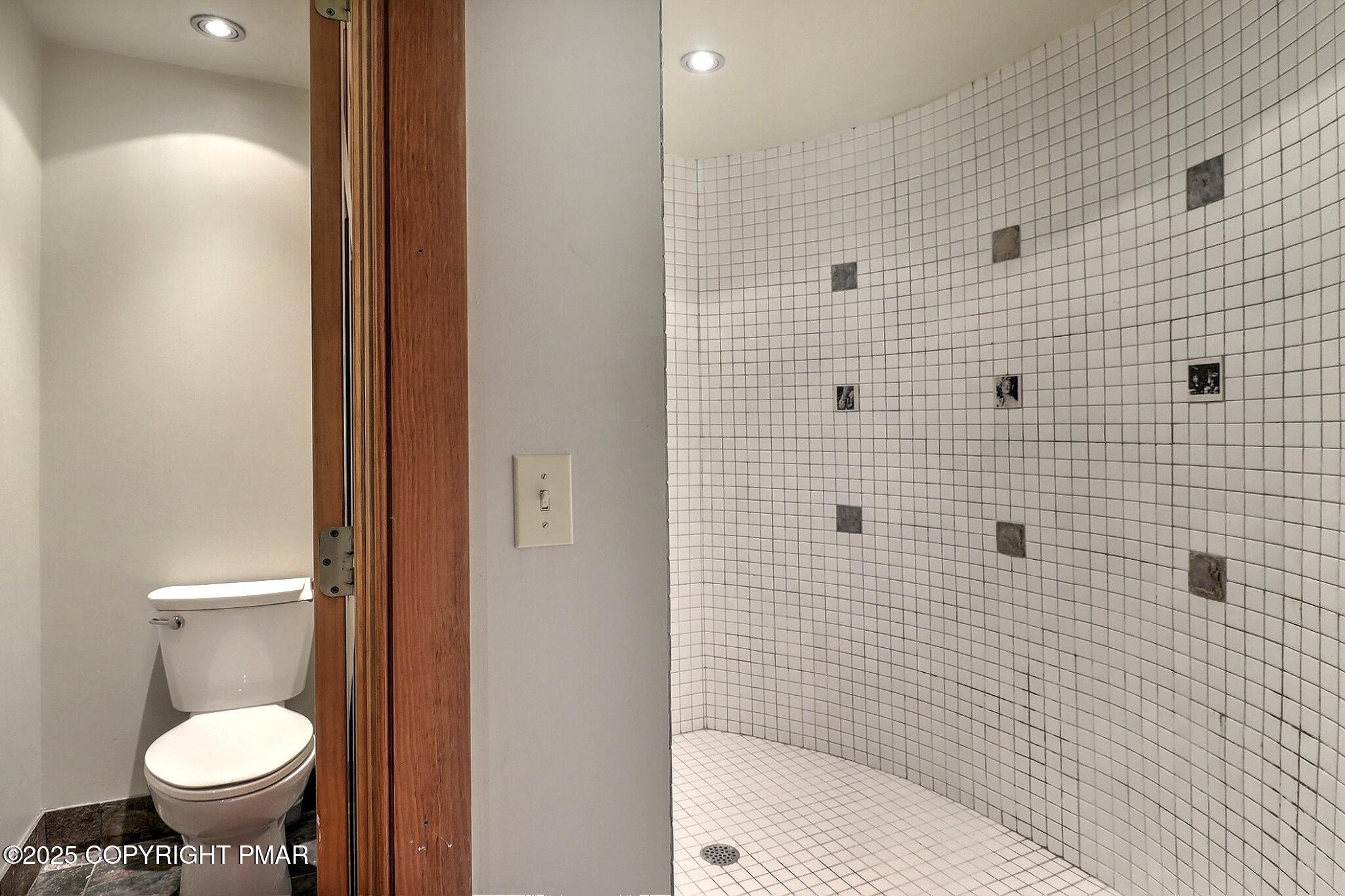 1212 Burger Hollow Road Effort, PA 18330 - Photo 117 of 138 a bathroom with a toilet and a shower