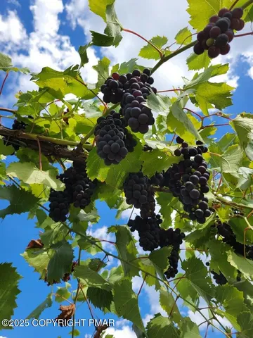 $3,899,000 | 1212 Burger Hollow Road, Effort, PA 18330