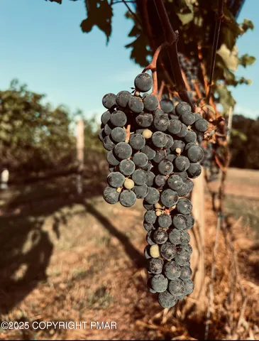 $3,899,000 | 1212 Burger Hollow Road, Effort, PA 18330