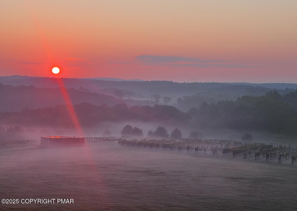 1212 Burger Hollow Road Effort, PA 18330 - Photo 128 of 138 Vineyard