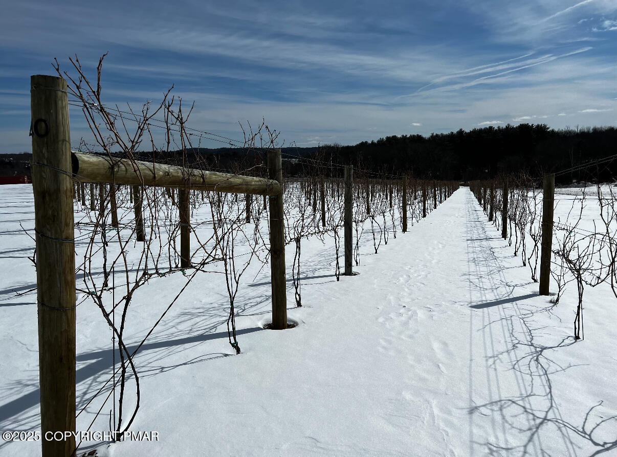 1212 Burger Hollow Road Effort, PA 18330 - Photo 130 of 138 Winter