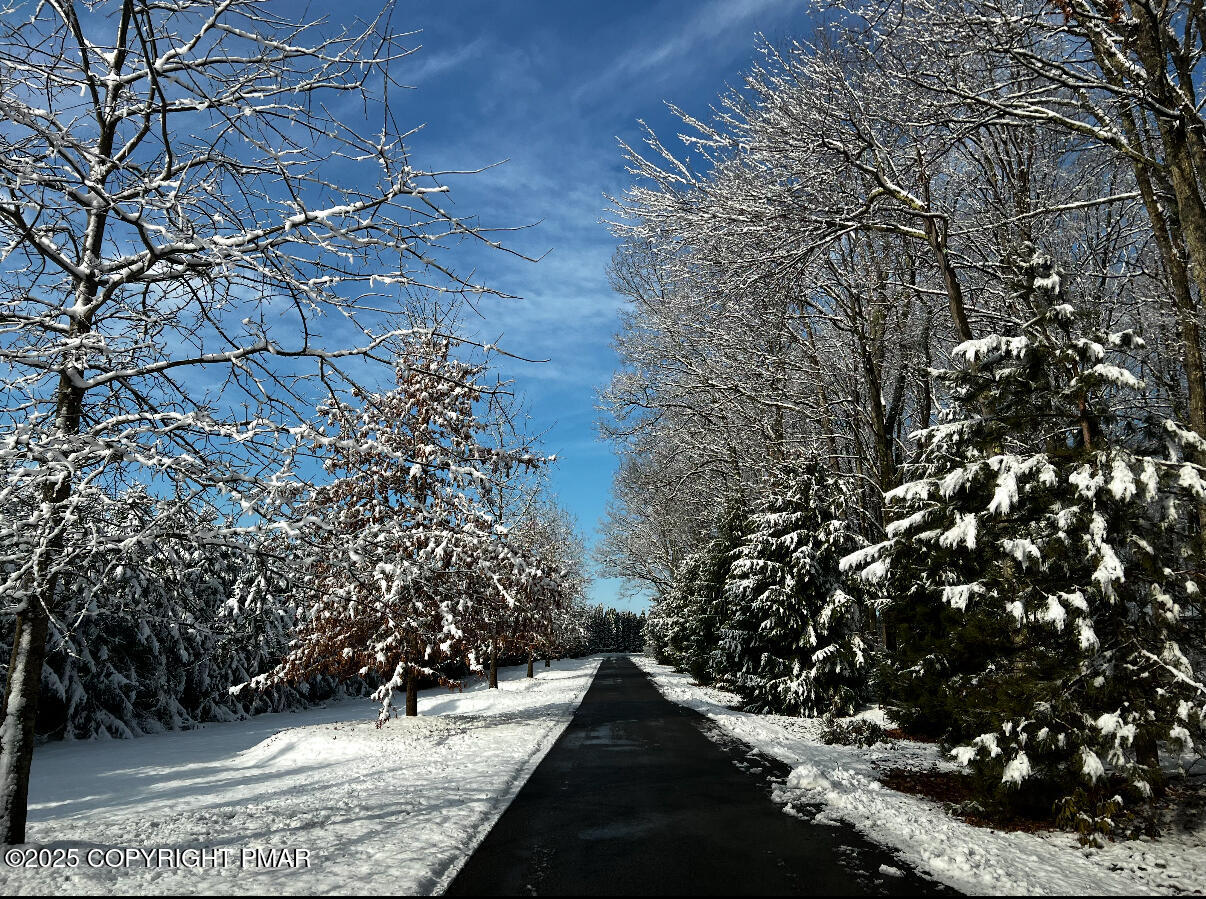 1212 Burger Hollow Road Effort, PA 18330 - Photo 131 of 138 Winter