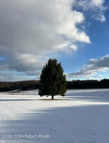a living room with furniture window and wooden floor