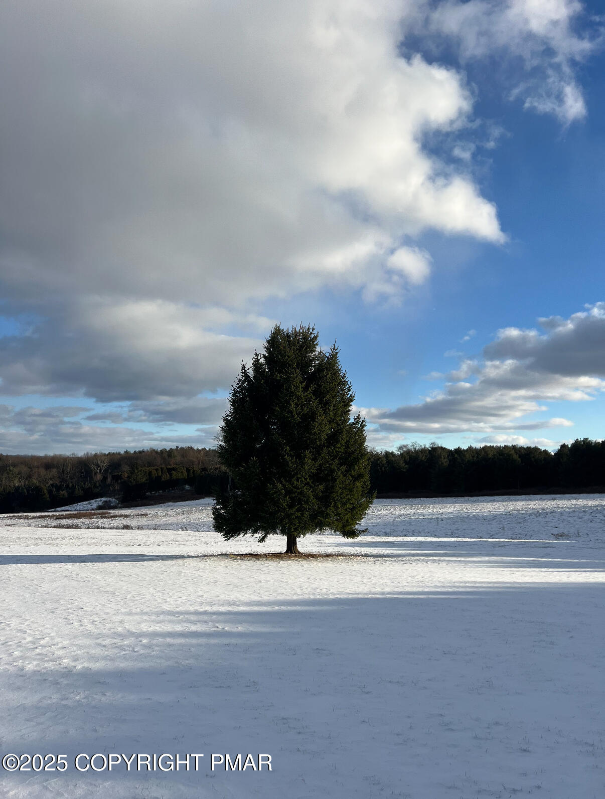 1212 Burger Hollow Road Effort, PA 18330 - Photo 15 of 138 Winter