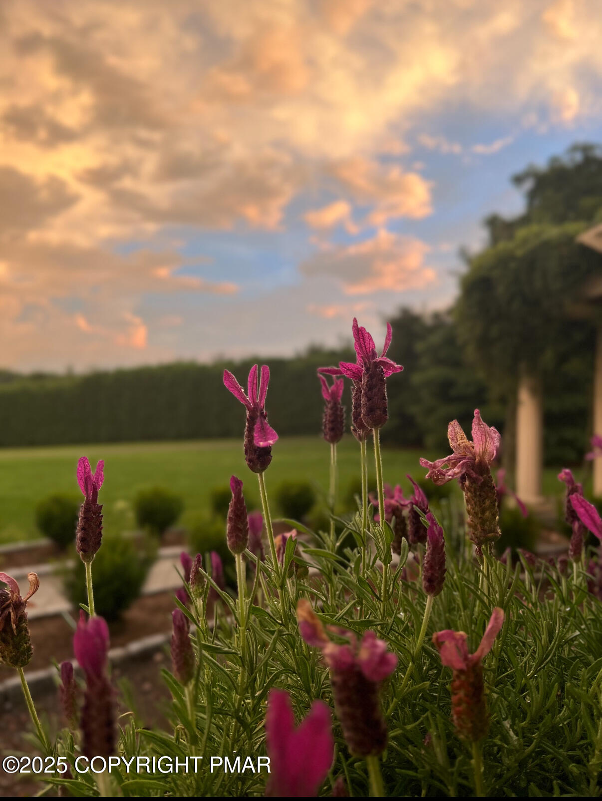 1212 Burger Hollow Road Effort, PA 18330 - Photo 21 of 138 a view of a flower in a garden