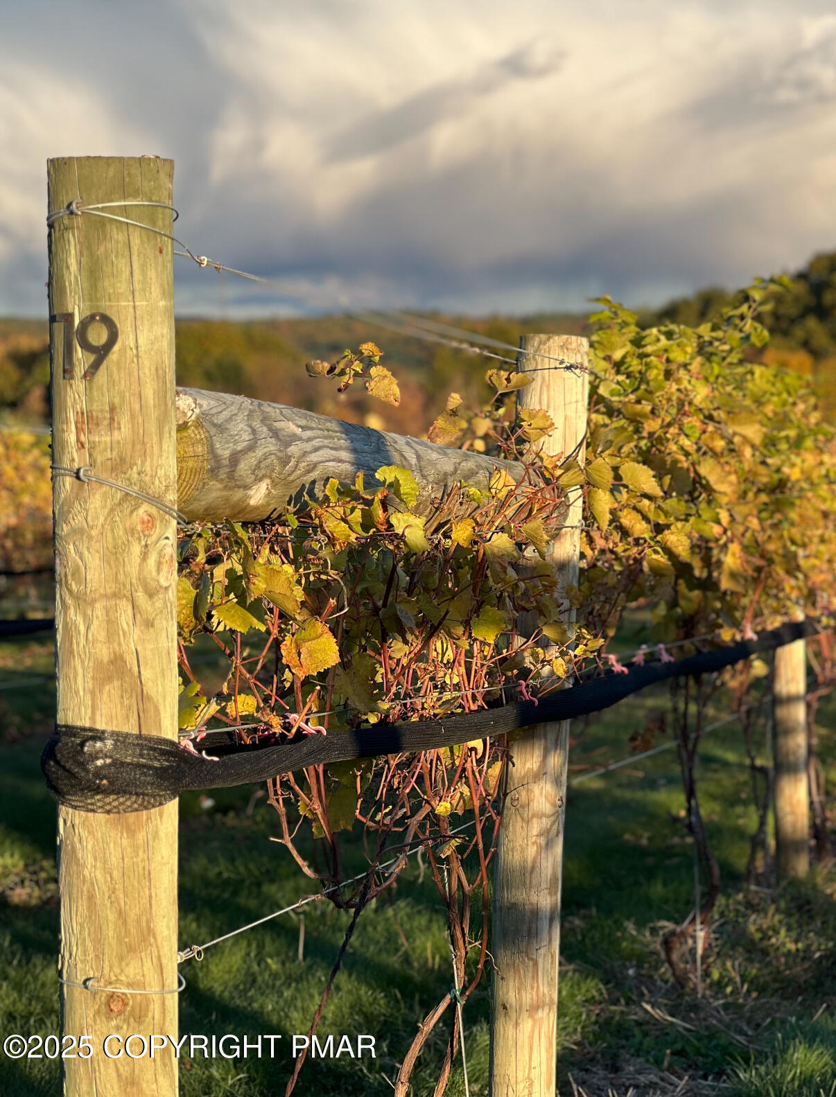 1212 Burger Hollow Road Effort, PA 18330 - Photo 23 of 138 Vineyard