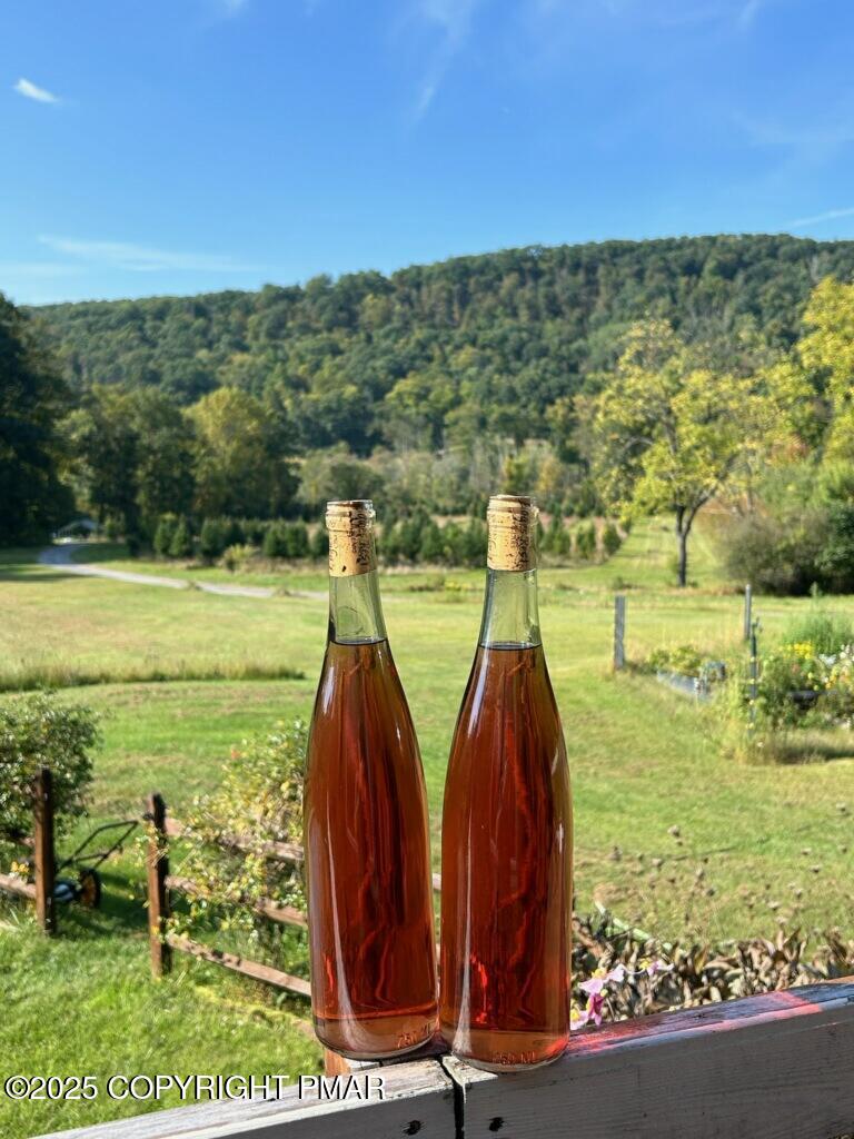 1212 Burger Hollow Road Effort, PA 18330 - Photo 26 of 138 Wine