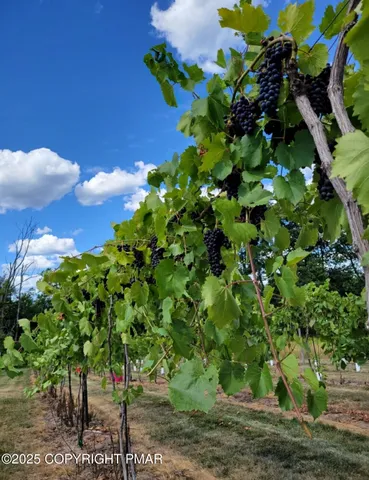a bedroom with furniture and a large window