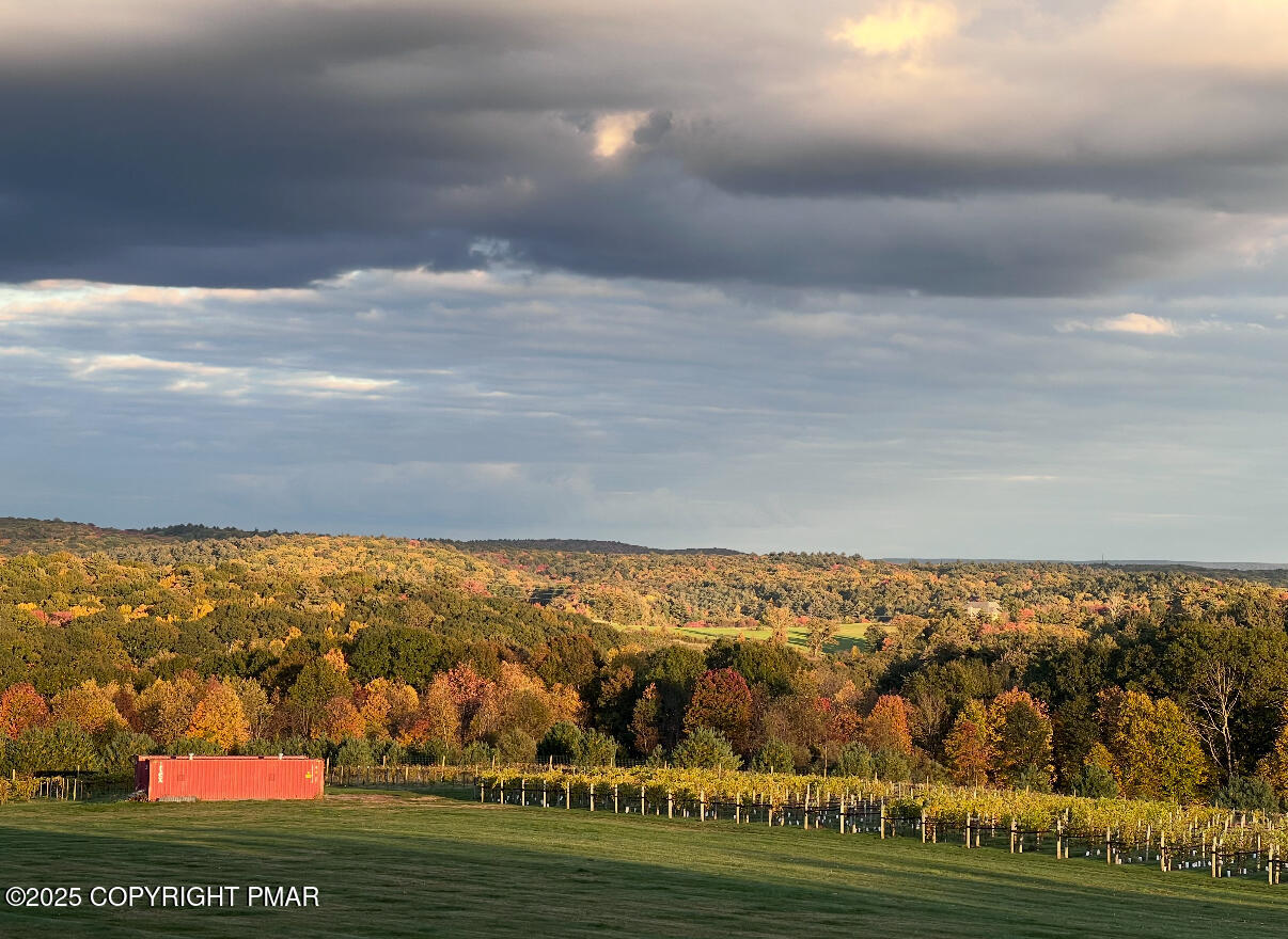 1212 Burger Hollow Road Effort, PA 18330 - Photo 6 of 138 Vineyard
