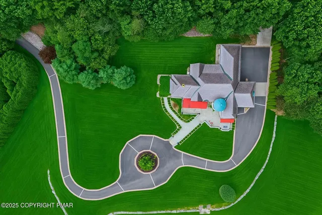 a view of a tree with a yard