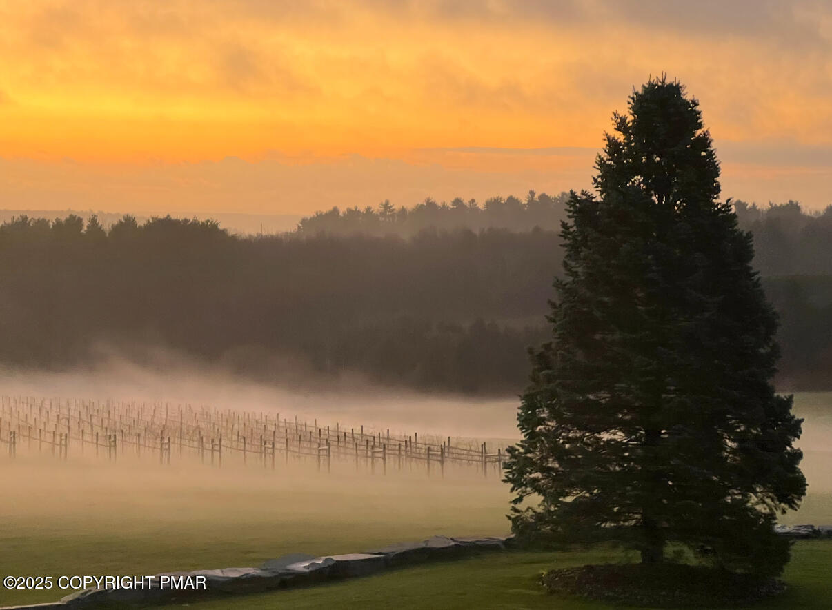 1212 Burger Hollow Road Effort, PA 18330 - Photo 85 of 138 Vineyard