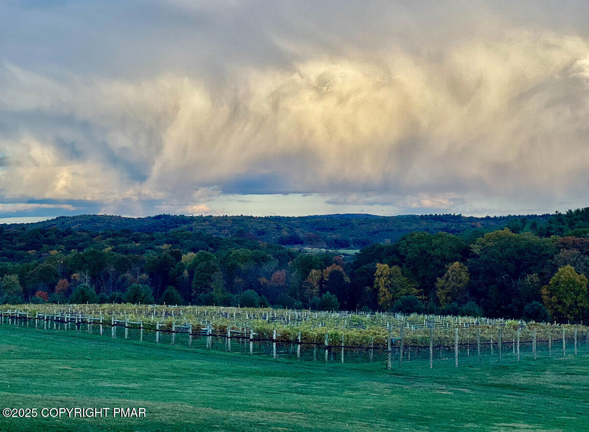 1212 Burger Hollow Road Effort, PA 18330 - Photo 86 of 138 a view of a big yard with table and chairs