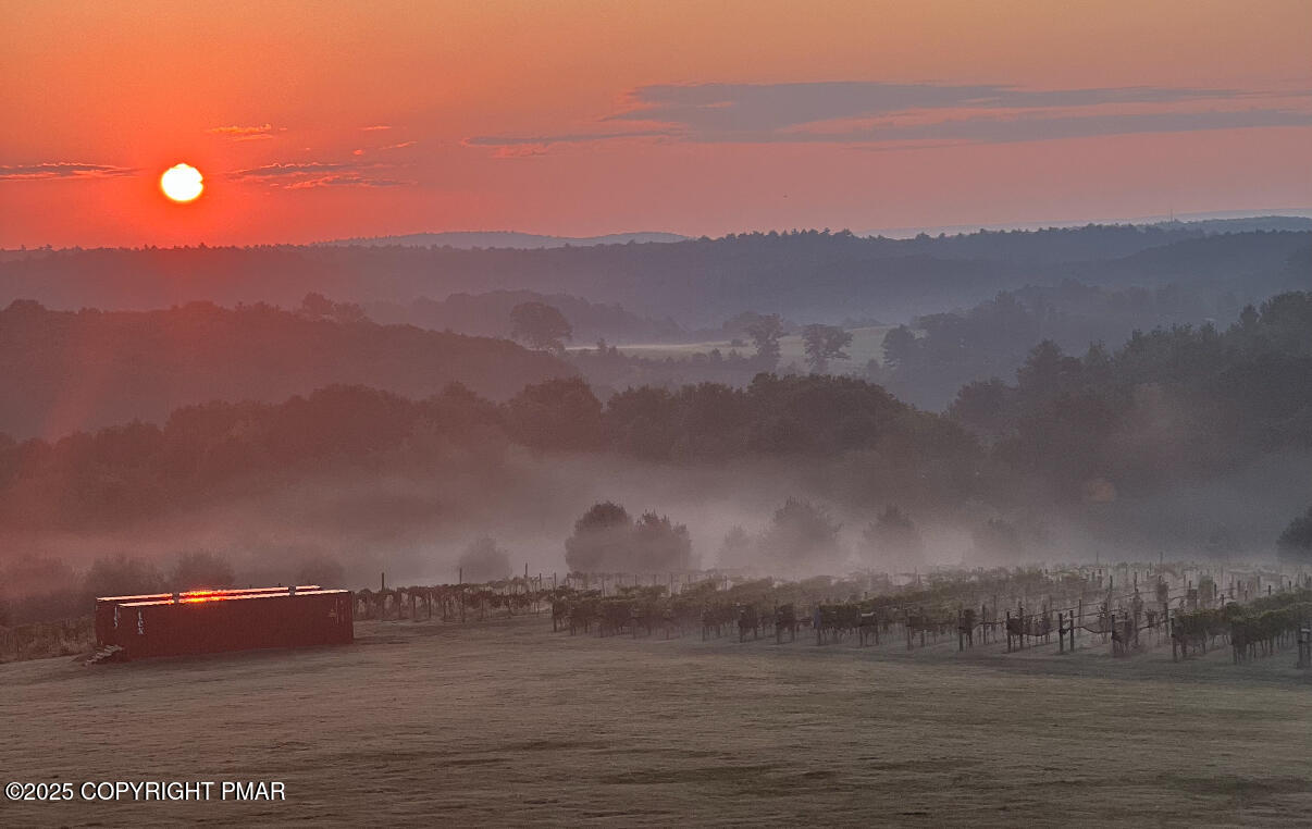1212 Burger Hollow Road Effort, PA 18330 - Photo 88 of 138 Vineyard