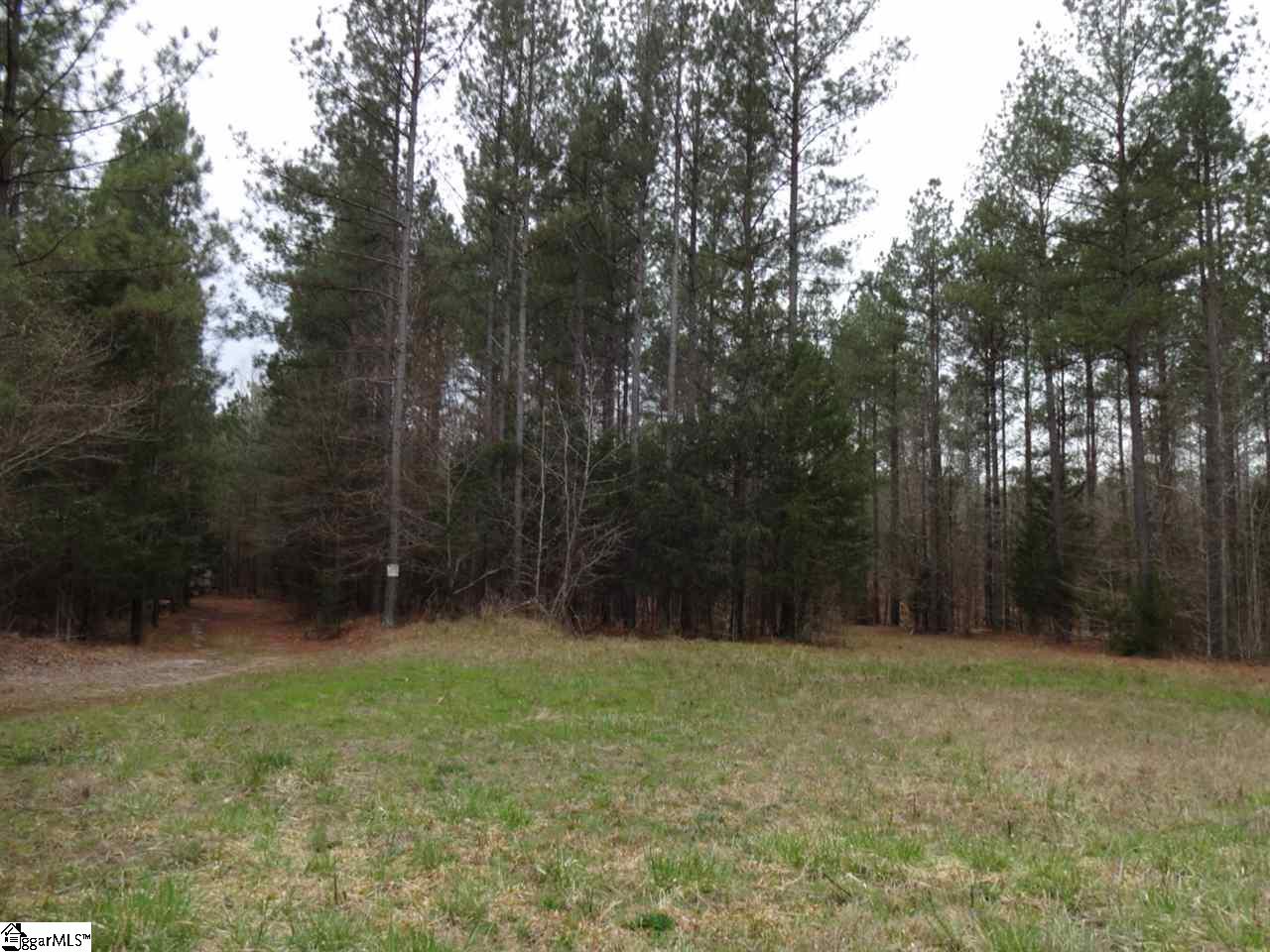 0 Langston Road Clinton, SC 29325 - Photo 2 of 35 Gallery Image 2