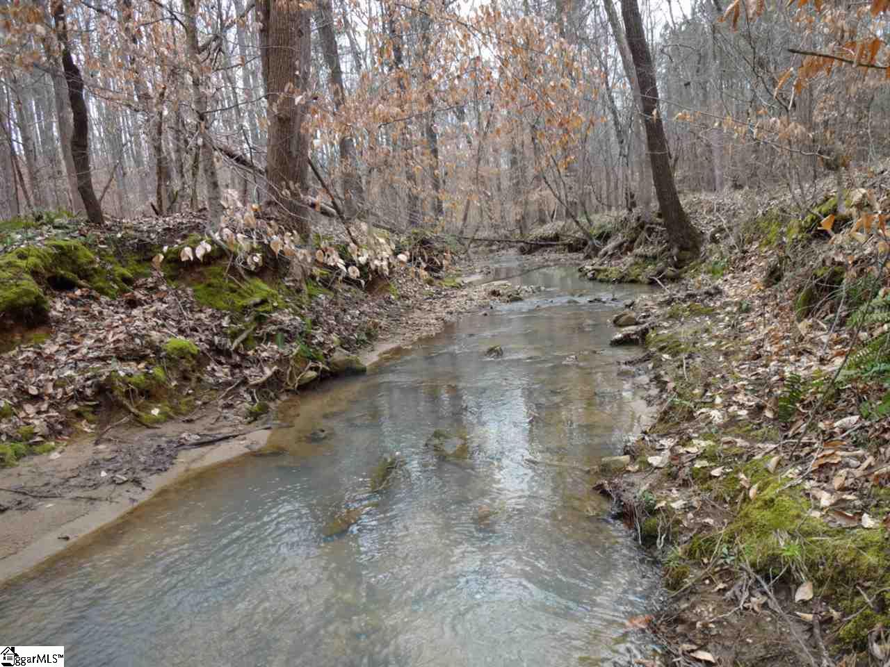0 Langston Road Clinton, SC 29325 - Photo 16 of 35 Gallery Image 16