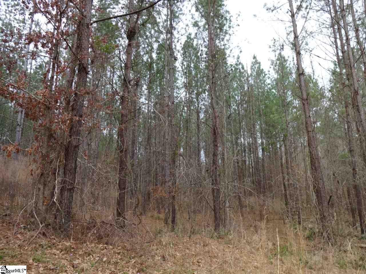 0 Langston Road Clinton, SC 29325 - Photo 19 of 35 Gallery Image 19