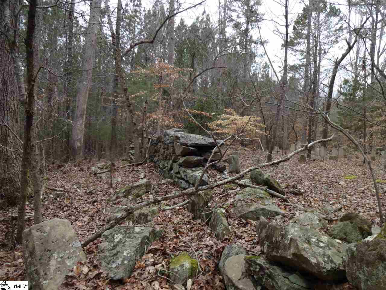 0 Langston Road Clinton, SC 29325 - Photo 21 of 35 Gallery Image 21