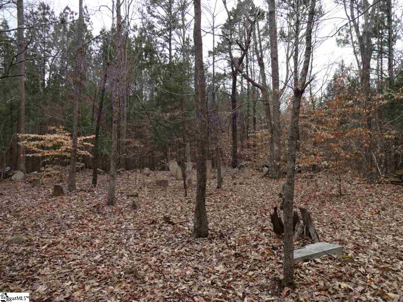 0 Langston Road Clinton, SC 29325 - Photo 22 of 35 Gallery Image 22