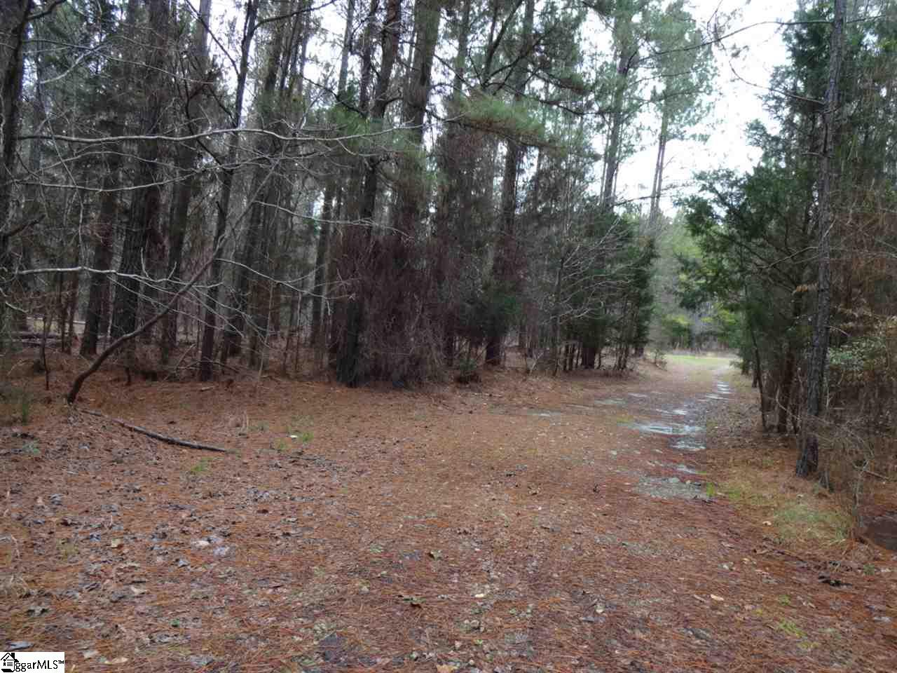 0 Langston Road Clinton, SC 29325 - Photo 23 of 35 Gallery Image 23