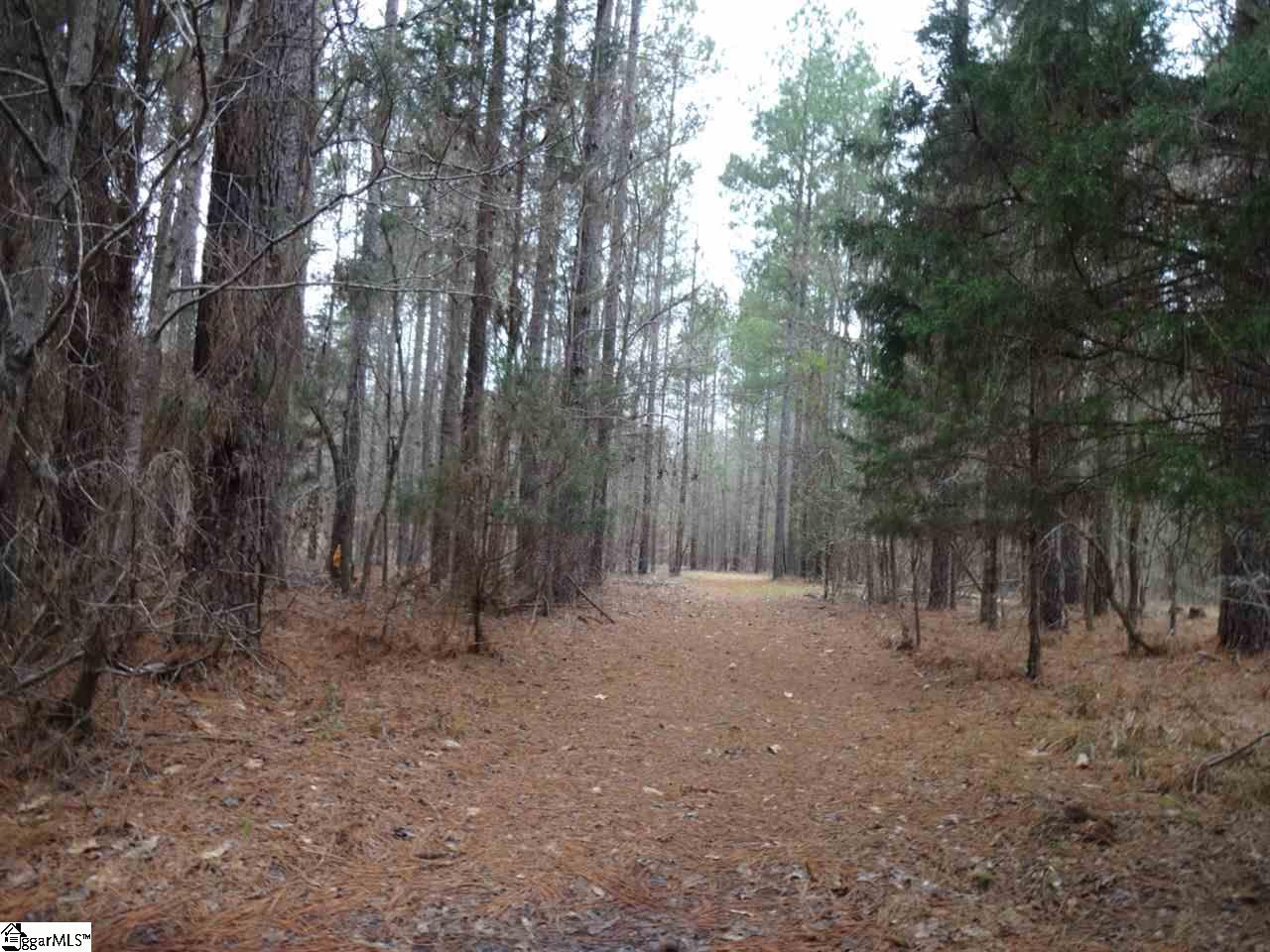 0 Langston Road Clinton, SC 29325 - Photo 24 of 35 Gallery Image 24