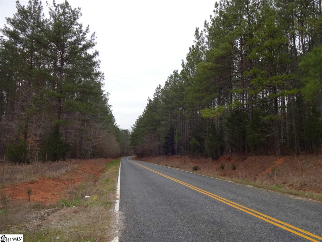 0 Langston Road Clinton, SC 29325 - Photo 25 of 35 Gallery Image 25